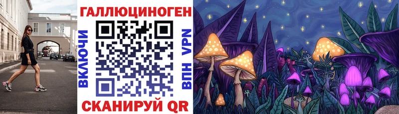 хочу Свирск Псилоцибиновые грибы Psilocybe